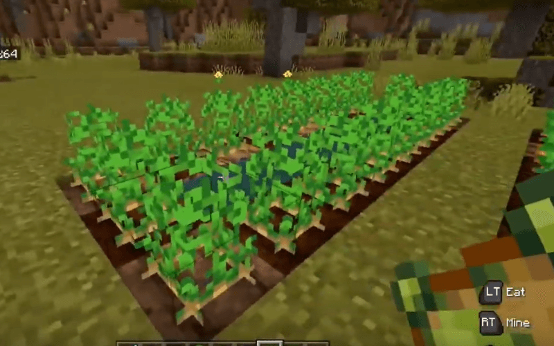 growing Potatoes in Minecraft