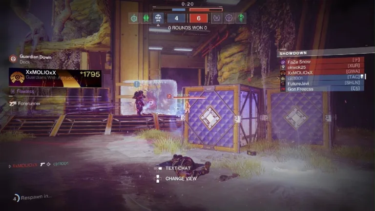 Competetive Gameplay in Destinty 2